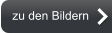 zu den Bildern