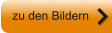 zu den Bildern