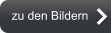 zu den Bildern