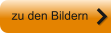 zu den Bildern